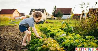 Das wächst sich raus? - Leider nicht immer… Erfahrungen mit Kindern, Eltern und weiteren Beteiligten