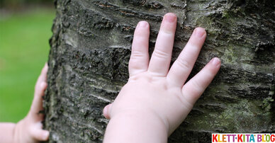 Kleine Rindenfühler