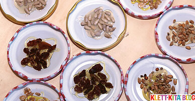 Unser Vogelfutter-Memory Ein „Do it yourself“ – Aufdeckspiel mit Leckereien für die Vögel