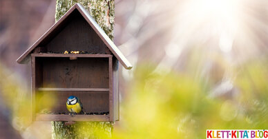 Piep, piep, piep, ihr Vögelchen! – Ein Bewegungsspiel mit den Wintervögeln
