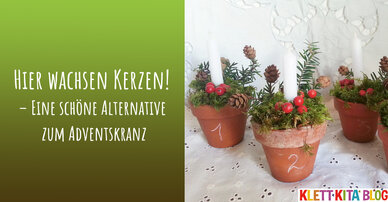 Hier wachsen Kerzen! – Eine schöne Alternative zum Adventskranz