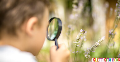Es krabbelt, summt und brummt – Insekten in unserem Ökosystem