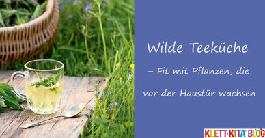 Wilde Teeküche – Fit mit Pflanzen, die vor der Haustür wachsen