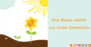 Eine Blume wächst aus einem Samenkorn