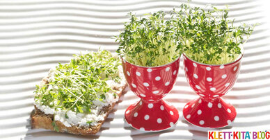 In 5 Schritten zu einem Ernährungsleitfaden für die Kita