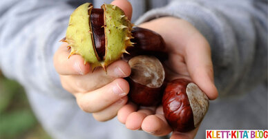 Spracherziehung Natur: Eichel, Buchecker und irgendwas – Benennen können, was die Natur uns schenkt