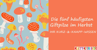 Die fünf häufigsten Giftpilze im Herbst - IHR KURZ-&-KNAPP-WISSEN