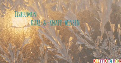 Eisblumen – kurz- &- knapp-Wissen