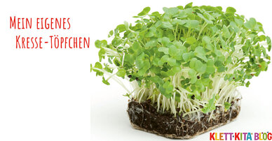 Wer will fleißige Gärtner sehen? Mein eigenes Kresse-Töpfchen