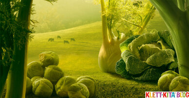 Märchen in der Natur erleben