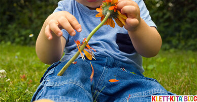 Wenn die gelben Blumen sprießen