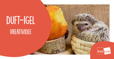 Duft-Igel – Kreatividee