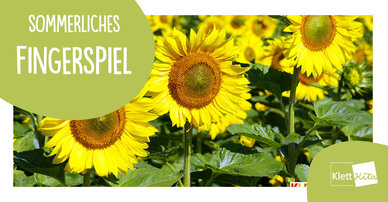 Sommerliches Fingerspiel – "Fünf Sonnenblumen"