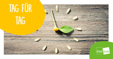 Tag für Tag – Rhythmus und Wiederholung werden im Waldorfkindergarten großgeschrieben