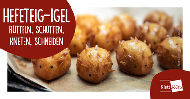 Hefeteig-Igel – Rütteln, schütten, kneten, schneiden