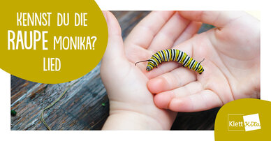 Kennst du die Raupe Monika? – Lied