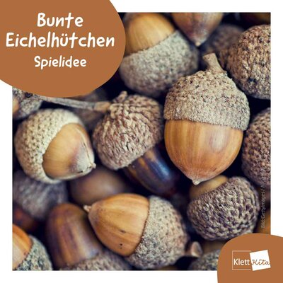 Cover Bunte Eichelhütchen 