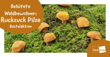 Behütete Waldbewohner: Ruckzuck Pilze – Bastelaktion | Klett Kita Portal