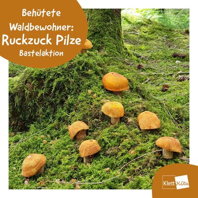 Cover Behütete Waldbewohner: Ruckzuck Pilze 