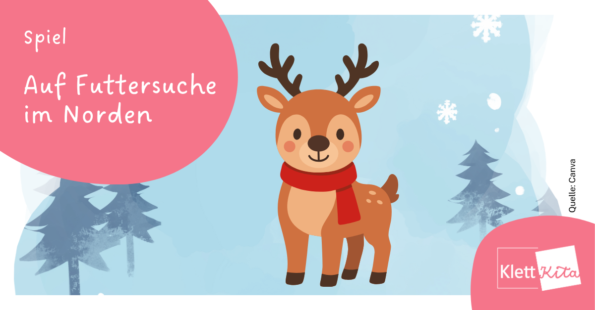 Auf Futtersuche im Norden