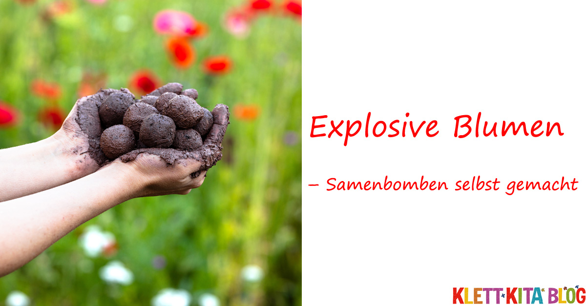 Explosive Blumen – Samenbomben selbst gemacht