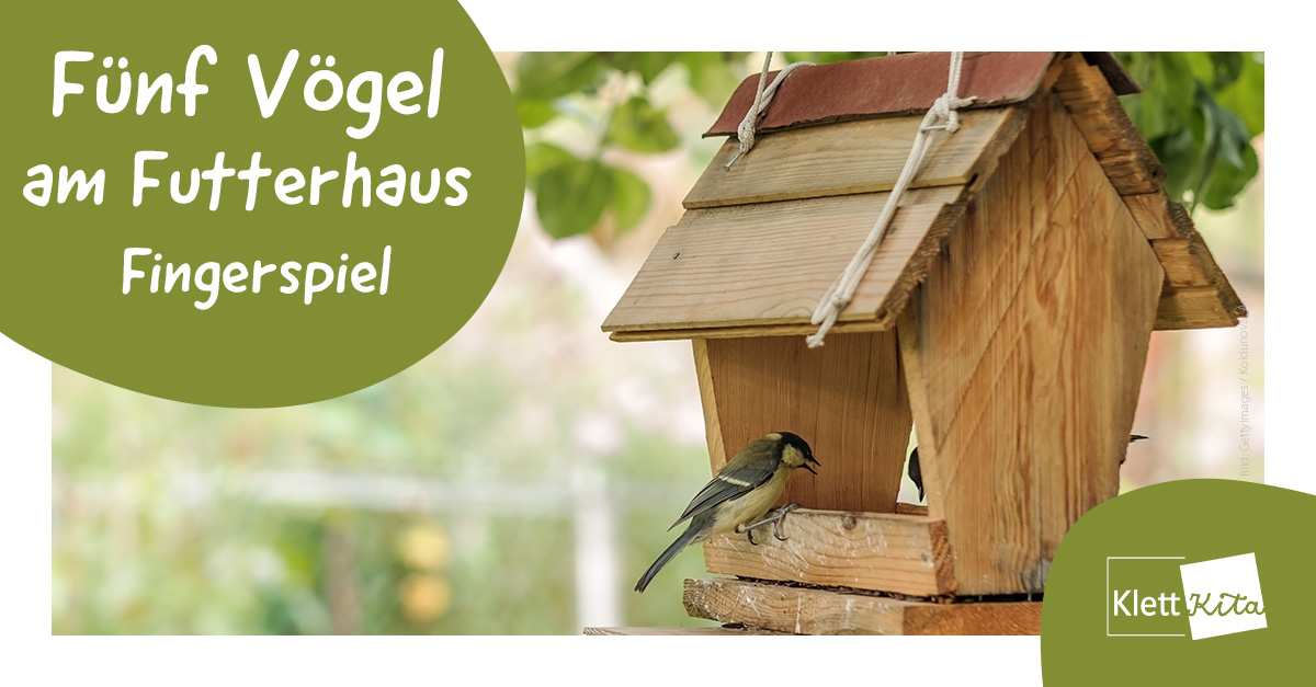 Fünf Vögel am Futterhaus