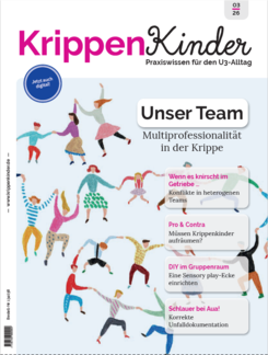 Cover Das Team