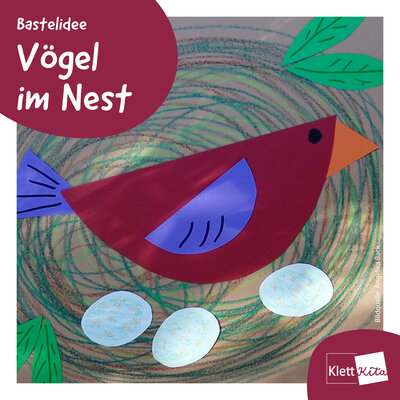 Cover Vögel im Nest