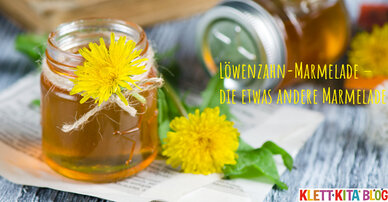 Löwenzahn-Marmelade – die etwas andere Marmelade