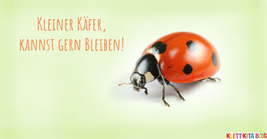 Kleiner Käfer, kannst gern bleiben! – Ein Spiellied mit Marienkäfern