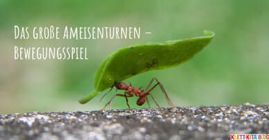 Das große Ameisenturnen – Bewegungsspiel