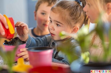 Eine Wiese in der Socke – Ein Experiment mit Wiesenblumensamen