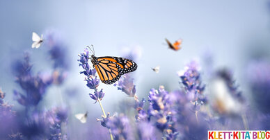 Der fleißige Schmetterling – Fingerspiel mit Blütenduft