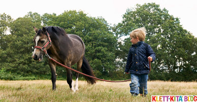 Eine tierische Reise auf dem fliegenden Teppich – Bewegungsgeschichte