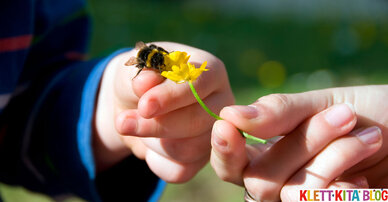 Wenn die dicken Brummer fliegen – Eine Hummel-Klanggeschichte
