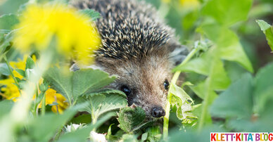 Mitmachgedicht für Frühlingstiere – Vorbei ist der Winterschlaf!