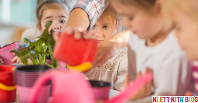 Kraut zu den Rüben! Frische Kräuter in den Krippen